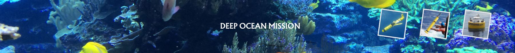 Inner Banner of Consumer Affairs